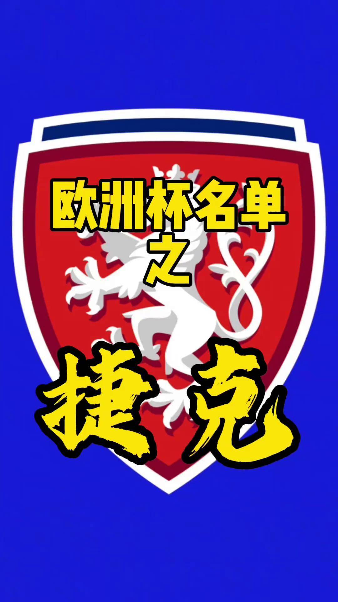 捷克队在欧洲预选赛中努力争取胜利