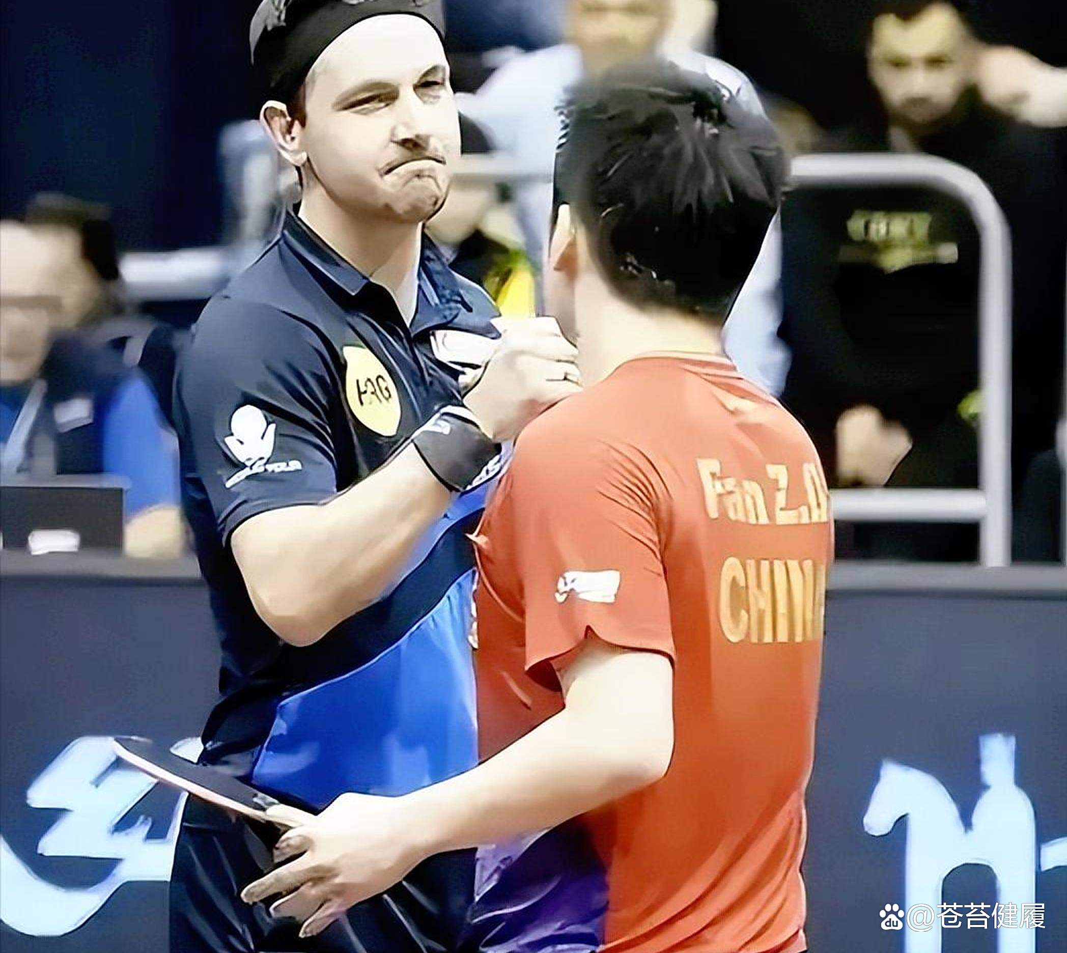 关于比利时乒乓球队翻盘瑞典乒乓球队，波尔送出助攻的信息